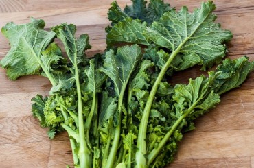 Friarielli Sott'olio